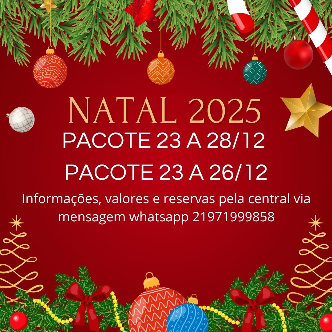 _natal e ano novo 2024-2025